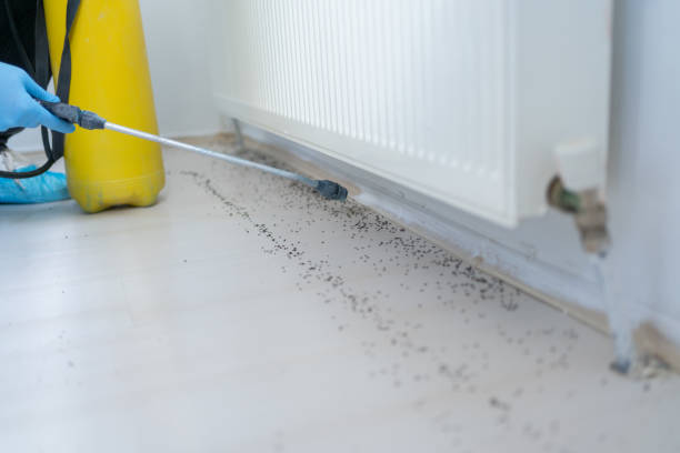 Best Pest Inspection Near Me  in Marianne, PA