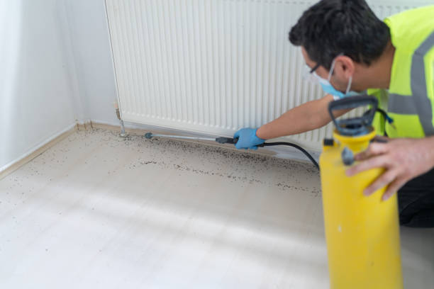Trusted Marianne, PA Pest Control Experts